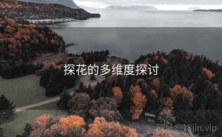 探花的多维度探讨  第1张