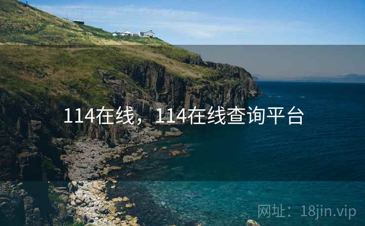 114在线，114在线查询平台  第2张