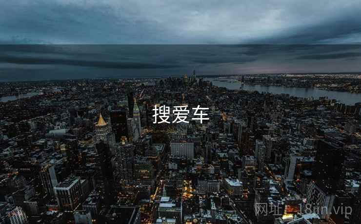 搜爱车  第1张